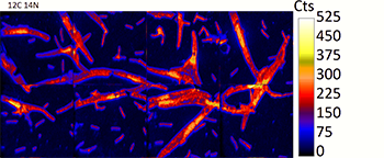 NanoSIMS image of ion