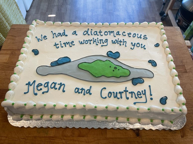 A farewell cake for Megan and Courtney